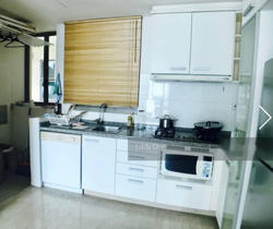 Amaryllis Ville (D11), Condominium #156401112